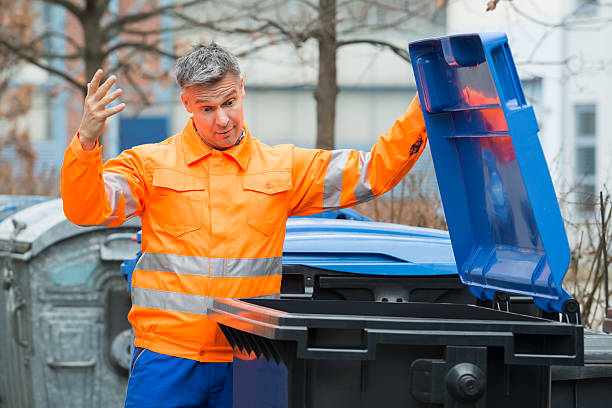 Best Shed Removal  in Bear, DE